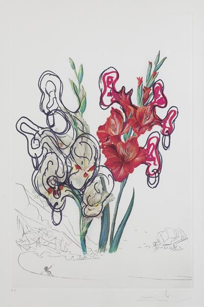 GLADIOLUS CUM AURIUM CORYMBO EXPECTANTIUM, 1972