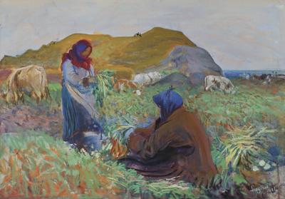 KOPANIE BURAKÓW, 1912