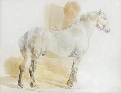 PERSZERON, OK. 1845
