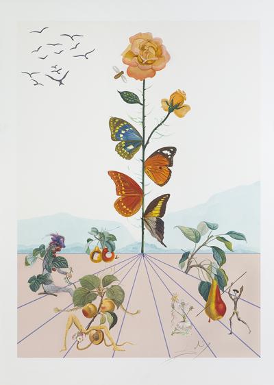 FLORDALI® II, 1981
