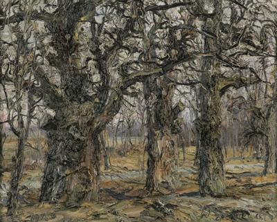 JABŁONNA - DĘBY, 1976