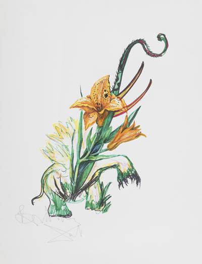 Z CYKLU "SURREALISTYCZNE KWIATY", 1972