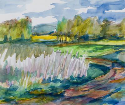 ŻABI STAW, Z CYKLU „MAZOWSZE”, 2005