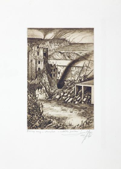 BLIŻSZY ZASIĘG, 1981