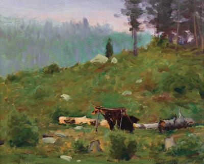 NA ZBOCZU LASU, OK. 1904