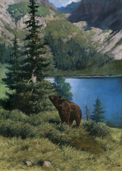 NIEDŹWIEDŹ W TATRACH, 1892