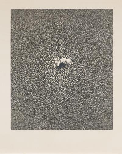 Z WNĘTRZA, Z CYKLU „OPISANIE ŚWIATA“, 1969