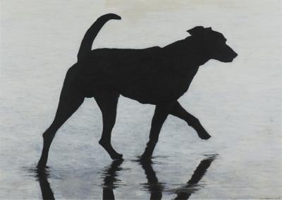 PIES, 2005