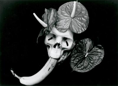 MARZENIA BRUNHILDY, 1993