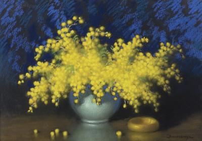 MIMOZY