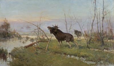 ŁOŚ NA MOKRADŁACH, 1927