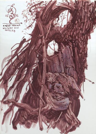 KTÓREJ PRAWA NATURY NIE DOTYCZĄ, 1996