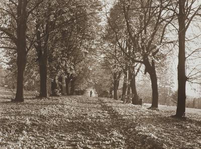 JESIEŃ W RABCE, 1975