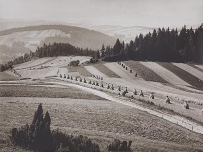 OKOLICE KROŚCIENKA, 1976