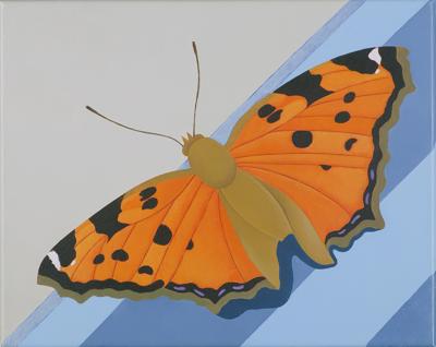 MOTYL, 2013/14