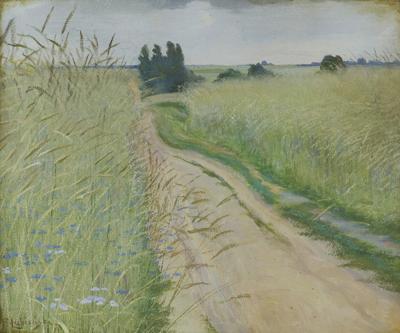 WŚRÓD PÓL, 1913