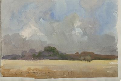 PRZED BURZĄ, 1994