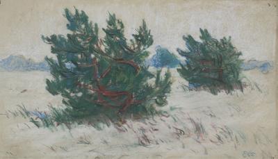 KOSODRZEWINA. KRAJOBRAZ ZIMOWY, 1898