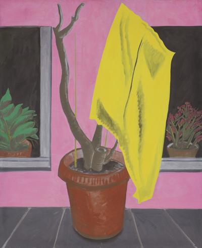 STRACH NA WRÓBLE, 2013