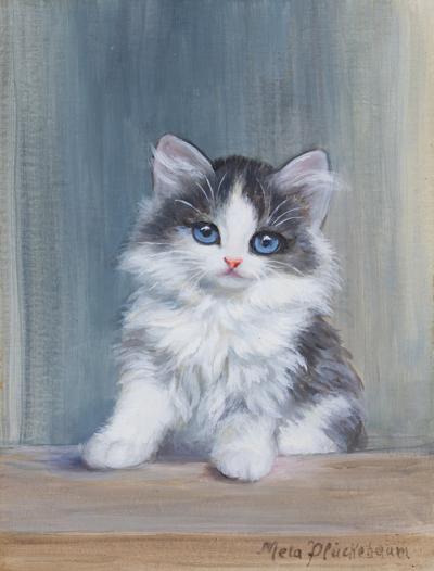 KOTEK