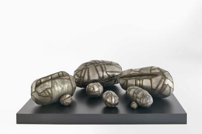 STEEL EMBRYOLOGY, 2007 - 2008