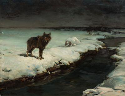 Wilk, lata 80. XIX w.