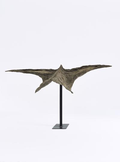 Ptak 2, 2008