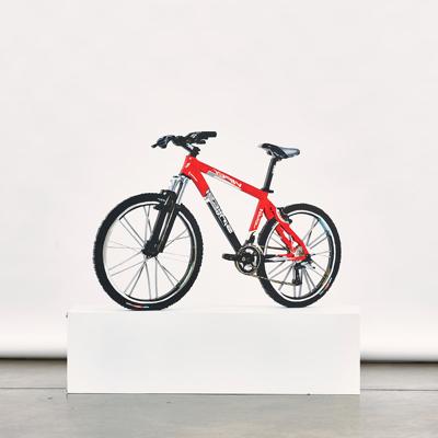Hiperreal bicycle z cyklu Rzeczywistość jest płaska, 2010