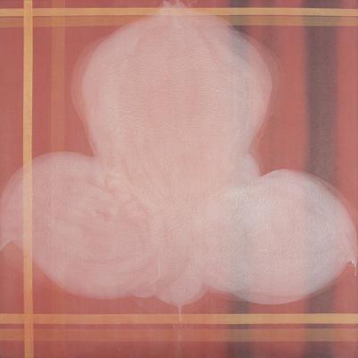 Orchidea, 1999