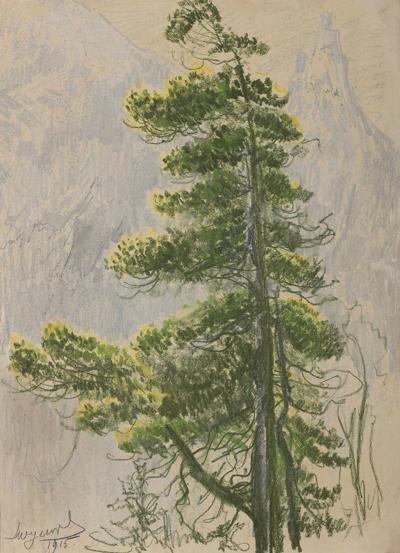 Limba na tle Mnicha, 1915
