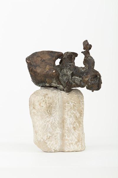 Mały brąz, 1965-1966