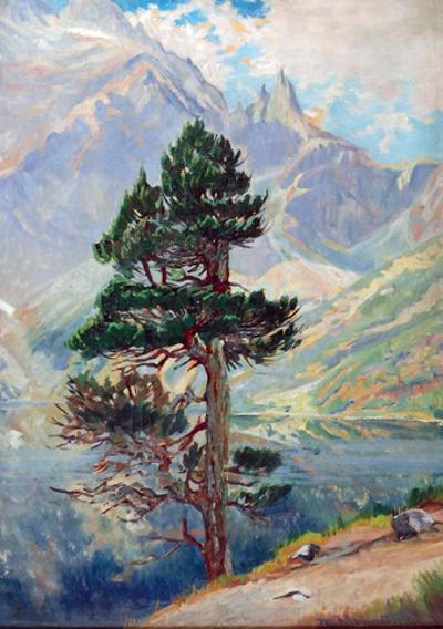 Limba nad Morskim Okiem