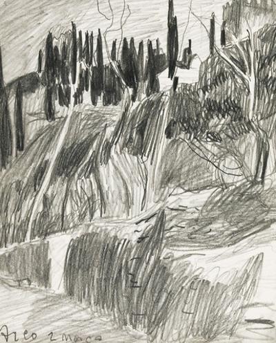 Widok na Arco S. Marco, 1905