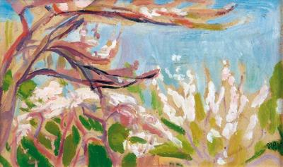 Sad w Kalwarii, 1904