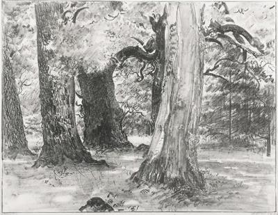 Dęby, 1922