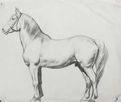 Koń, 1873