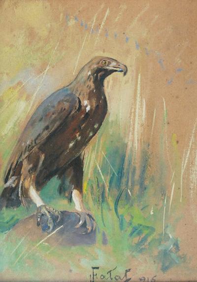 Orzeł, 1916
