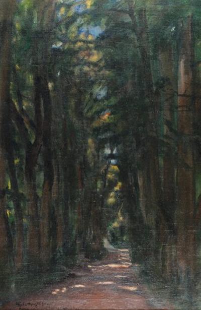 Aleja, 1911