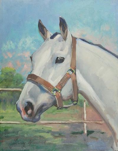 Głowa konia - siwek, 1948