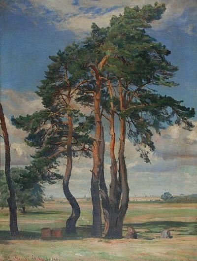 Sosny mazowieckie, 1923