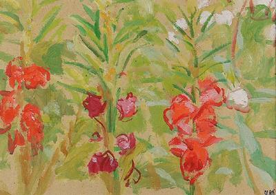 Kwiaty ogrodowe - Balsaminki, 1907