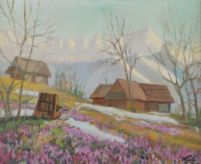 Krokusy