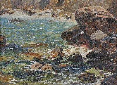 Skalisty brzeg, 1895