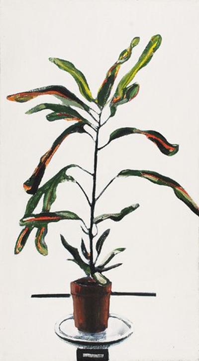 Kroton, 2003