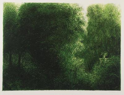 Wnętrze lasu, 1982
