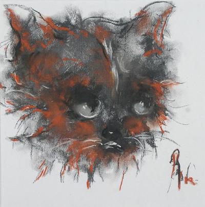 Kot