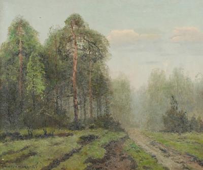 Leśna droga