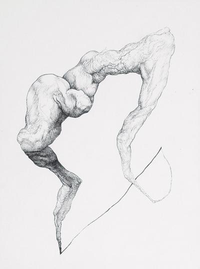 R11LIMB, 2011