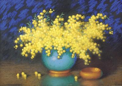 Mimozy