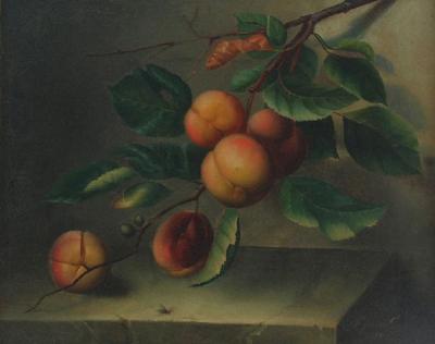 Brzoskwinie, 1844